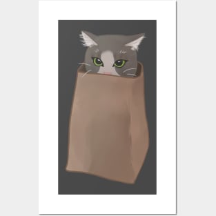 Cat in a bag Posters and Art